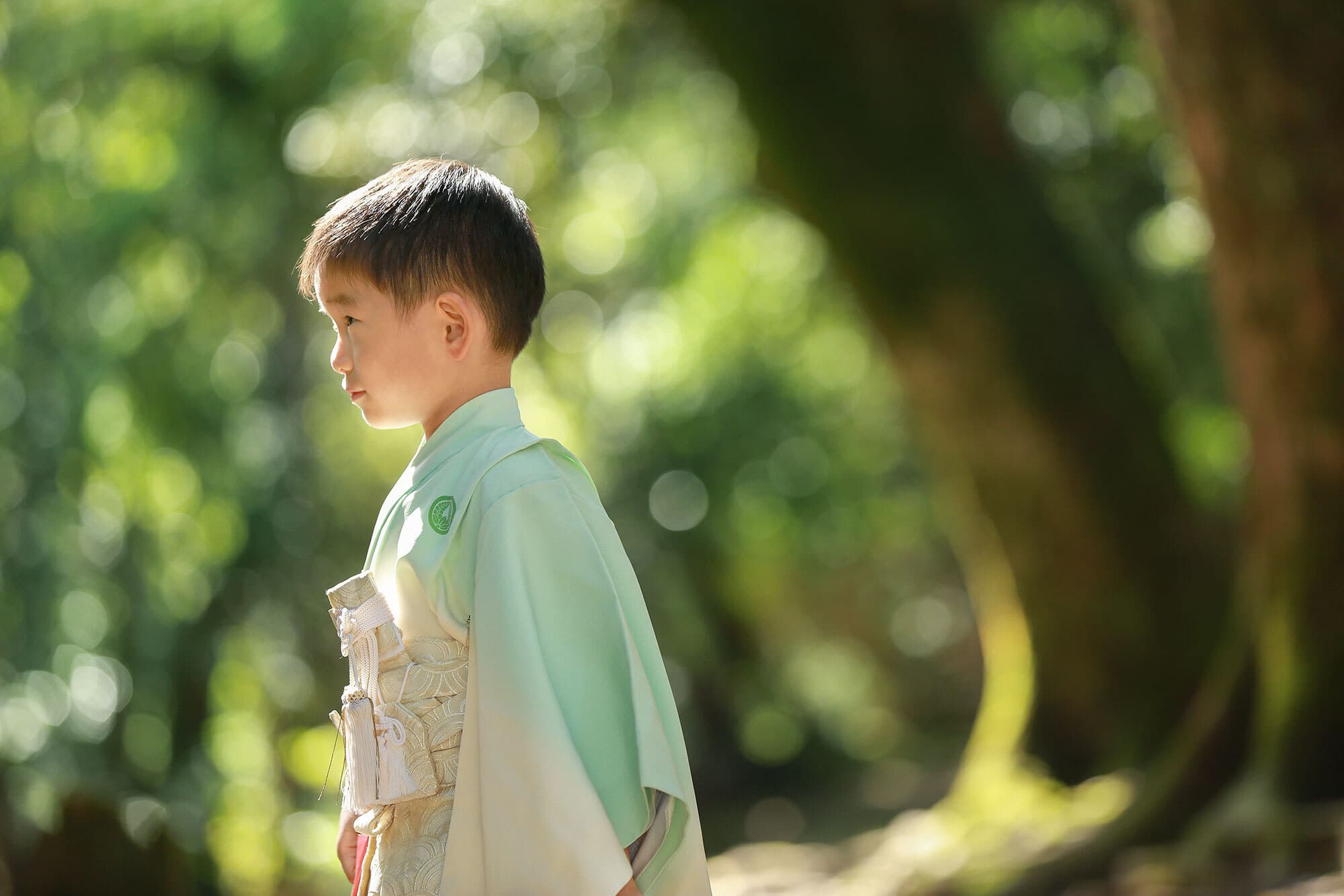 春日大社の七五三出張撮影