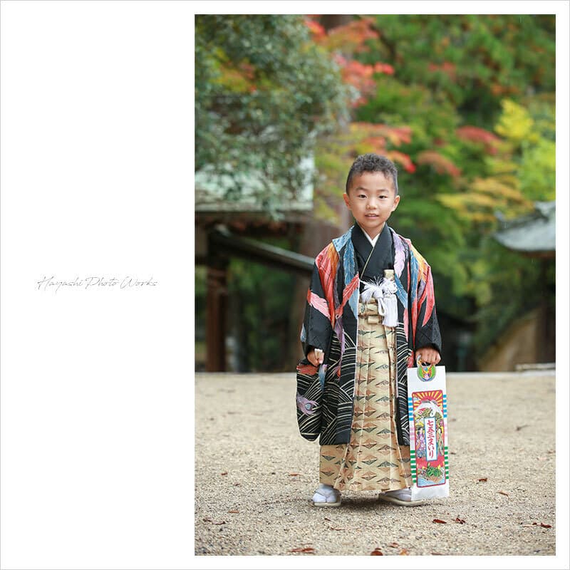 手向山八幡宮で七五三出張撮影