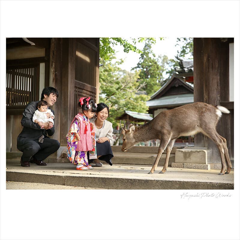 手向山八幡宮で七五三出張撮影
