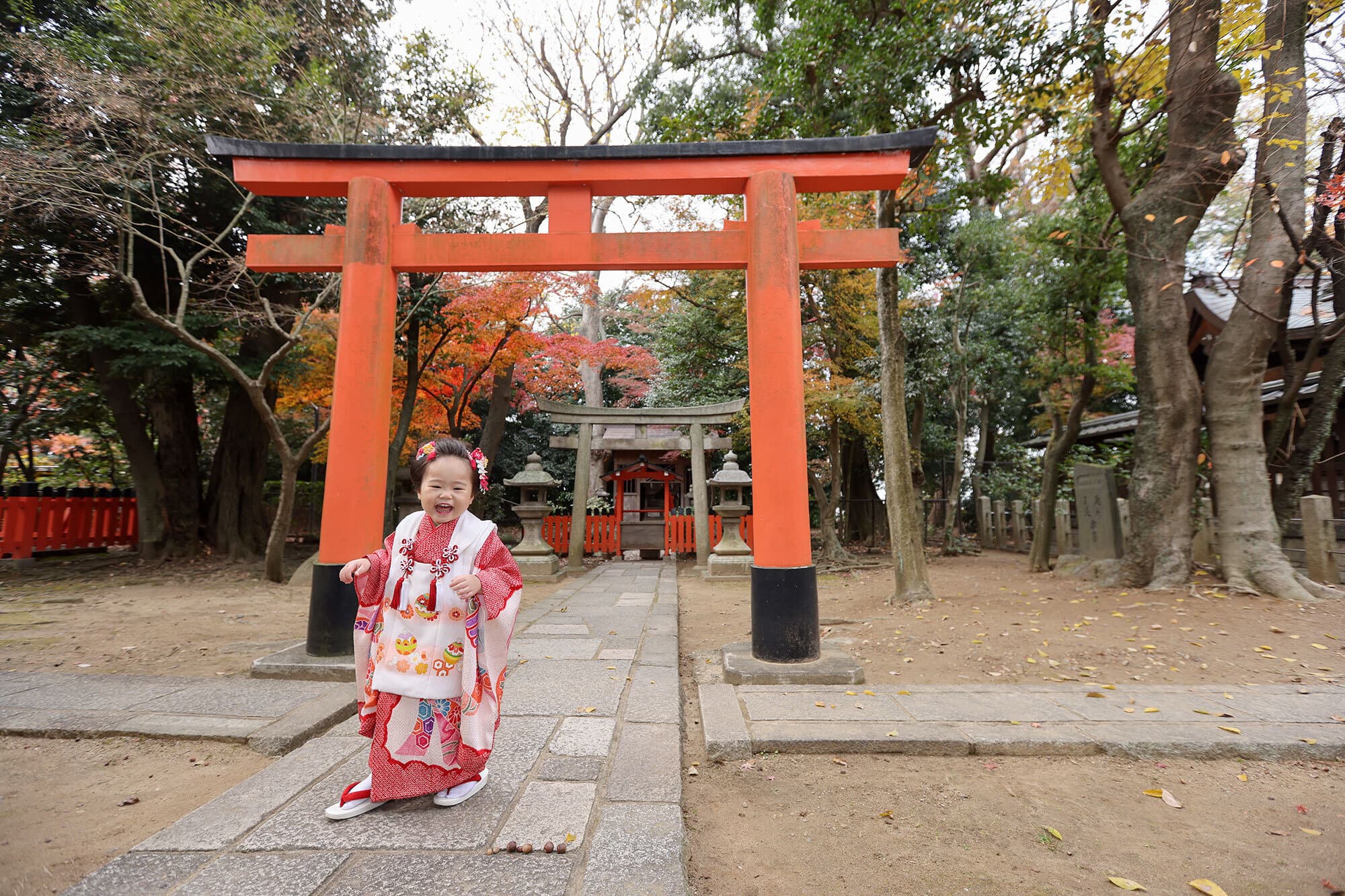 御香宮神社で七五三出張撮影