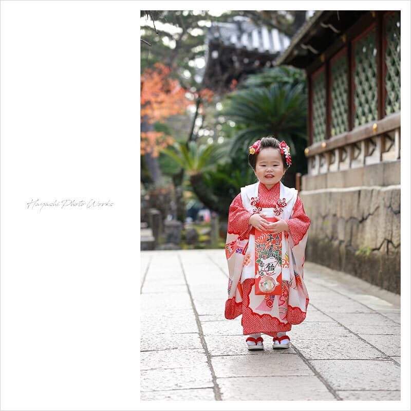 御香宮神社で七五三出張撮影