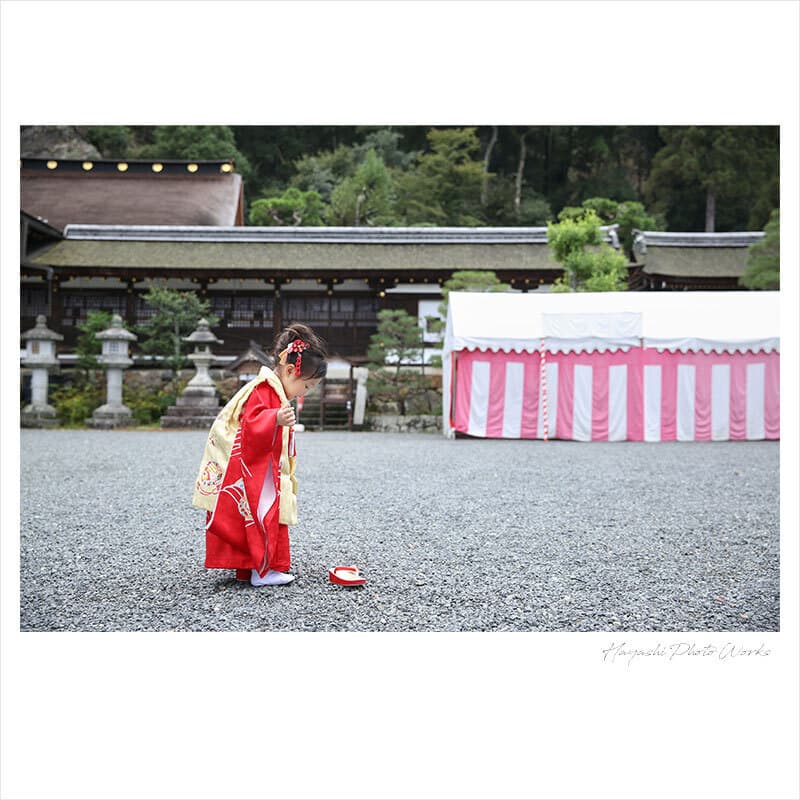 松尾大社の七五三出張撮影
