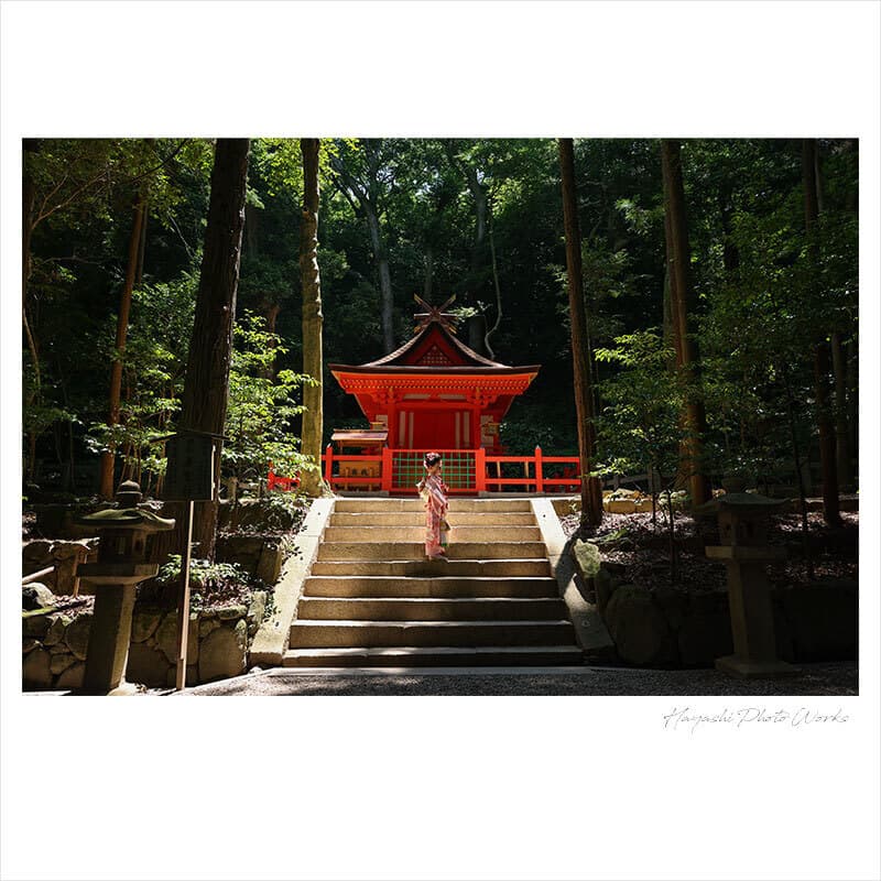 枚岡神社で七五三出張撮影