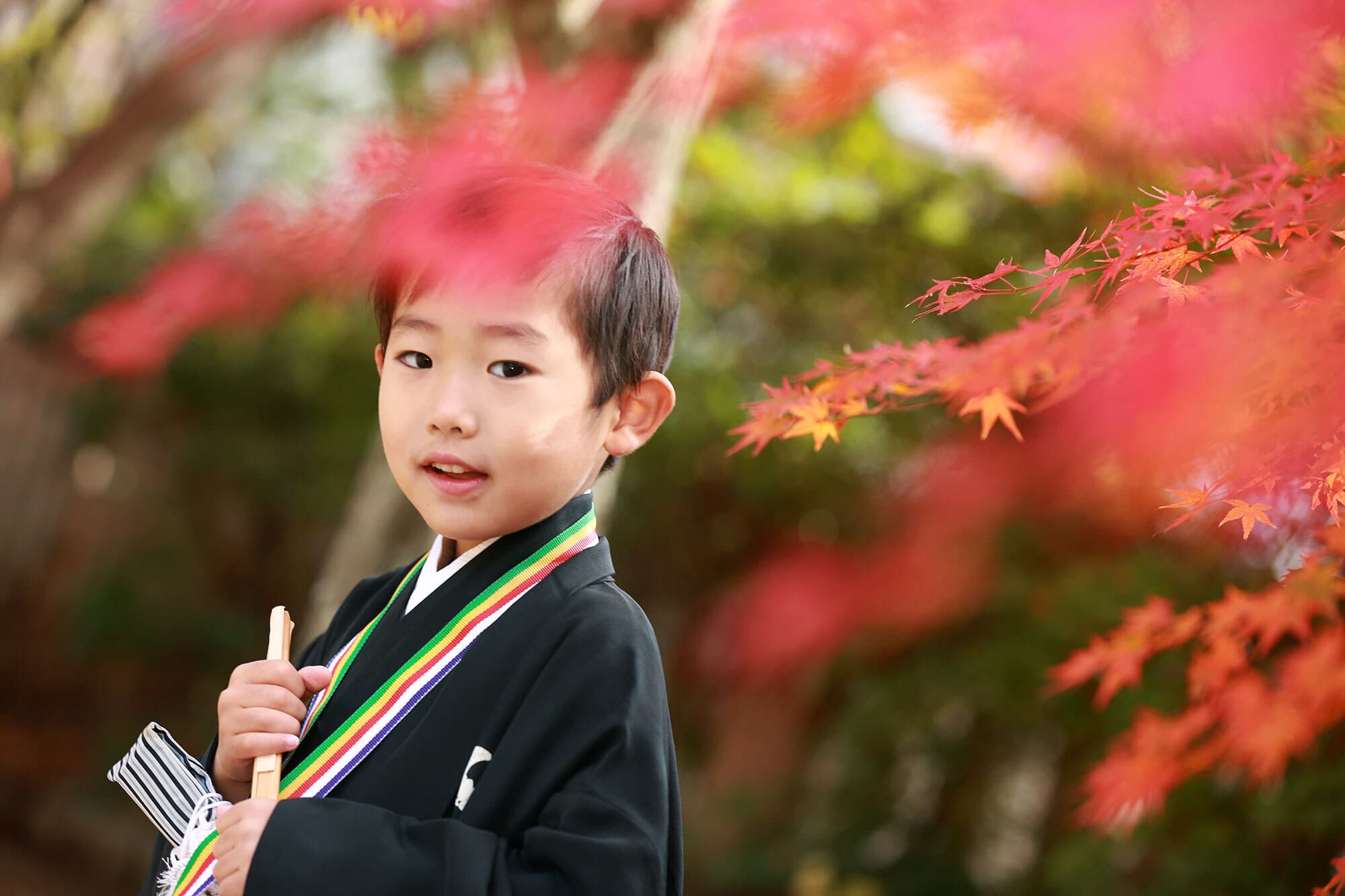 湊川神社で七五三出張撮影