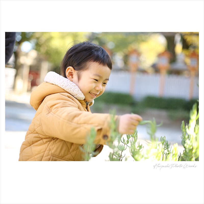 泉大津市の大津神社でお宮参り出張撮影
