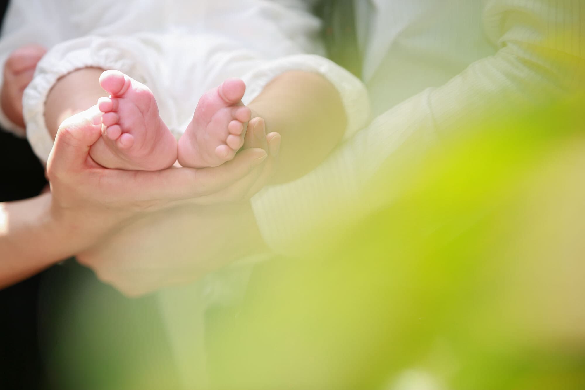 阿倍王子神社お宮参り出張撮影