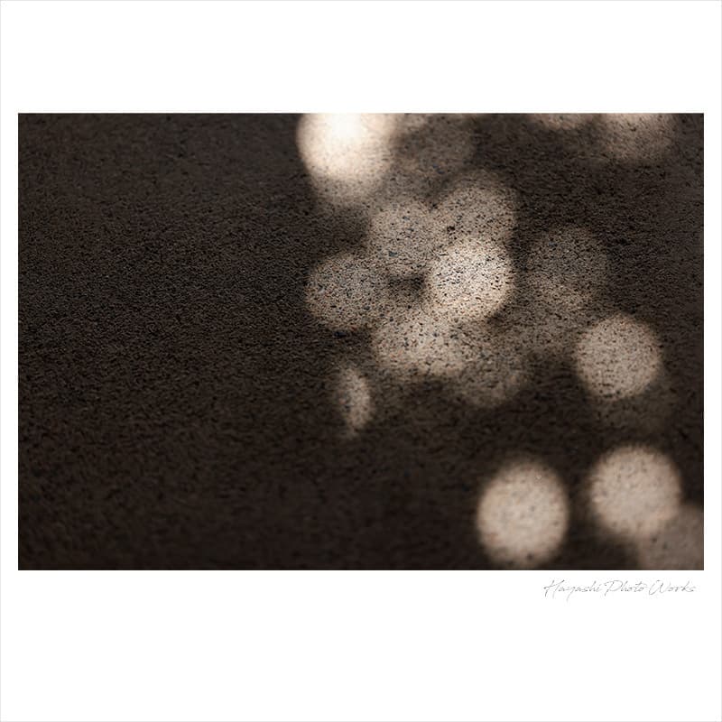 三木市で振袖ロケーション撮影