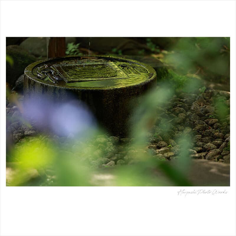 横浜市で振袖ロケーション撮影